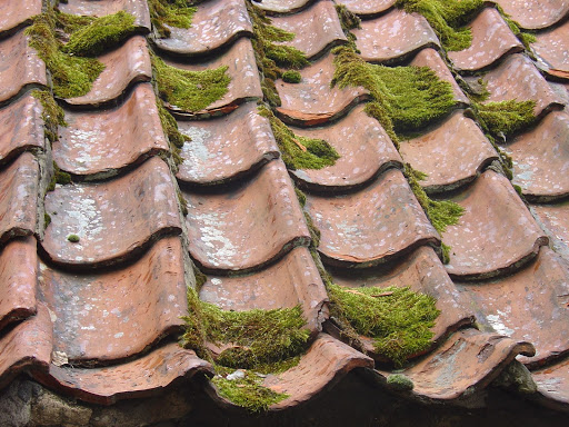 A aging roof with moss